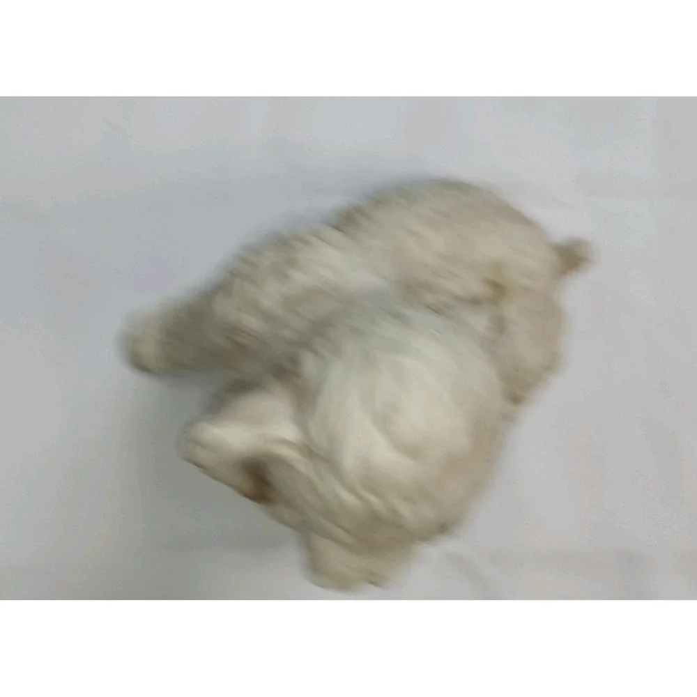 Vintage Poodle Puppy Figurine Seated By Royal Crown Porcelain Bisque Japan‎ 7